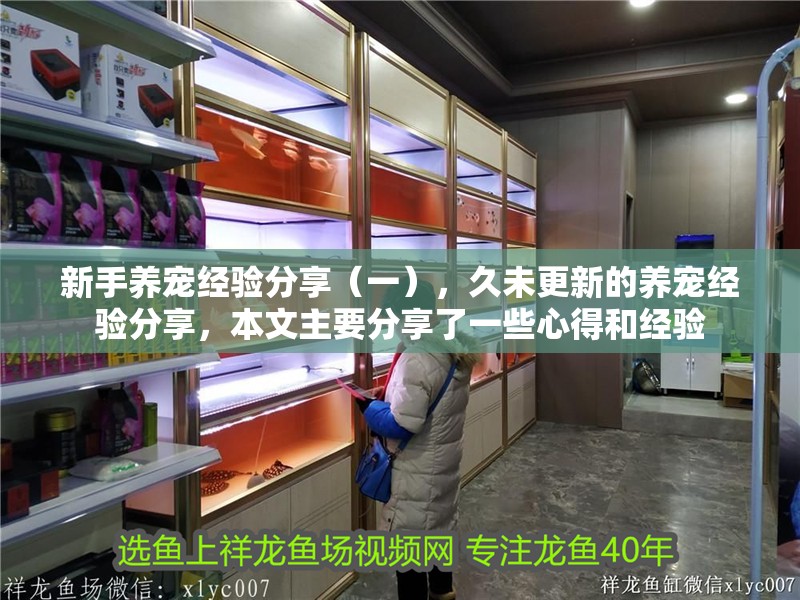 新手養寵經驗分享（一），久未更新的養寵經驗分享，本文主要分享了一些心得和經驗