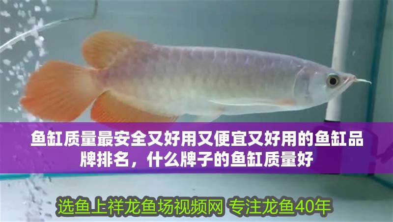 魚缸質量最安全又好用又便宜又好用的魚缸品牌排名，什么牌子的魚缸質量好