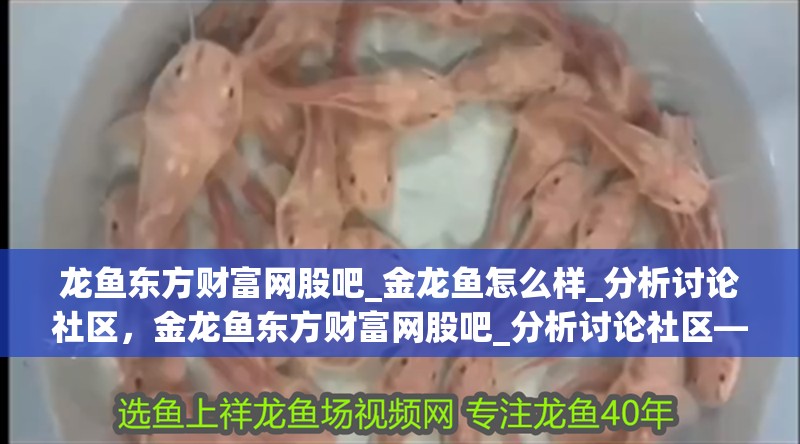 龍魚(yú)東方財(cái)富網(wǎng)股吧_金龍魚(yú)怎么樣_分析討論社區(qū)，金龍魚(yú)東方財(cái)富網(wǎng)股吧_分析討論社區(qū)—東方財(cái)富網(wǎng)股吧