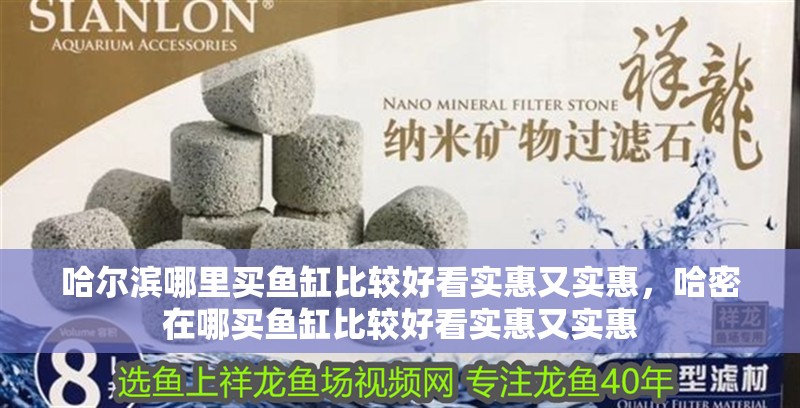 哈爾濱哪里買魚缸比較好看實惠又實惠，哈密在哪買魚缸比較好看實惠又實惠