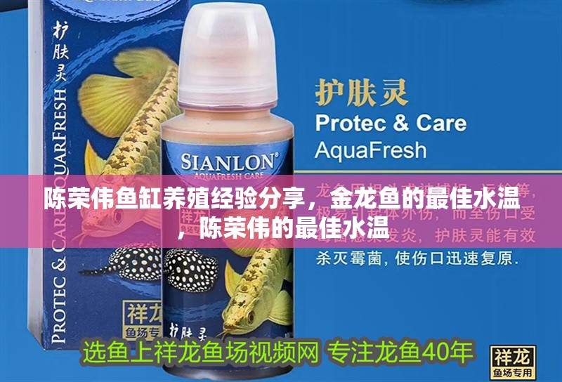 陳榮偉魚缸養殖經驗分享，金龍魚的最佳水溫，陳榮偉的最佳水溫