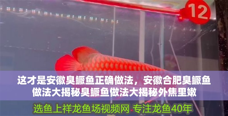 這才是安徽臭鱖魚正確做法，安徽合肥臭鱖魚做法大揭秘臭鱖魚做法大揭秘外焦里嫩