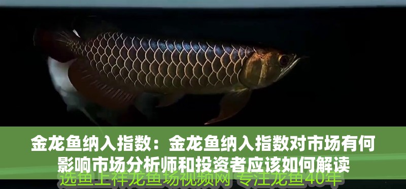 金龍魚納入指數：金龍魚納入指數對市場有何影響市場分析師和投資者應該如何解讀