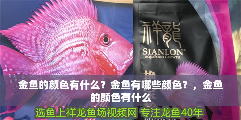 金魚的顏色有什么？金魚有哪些顏色？，金魚的顏色有什么