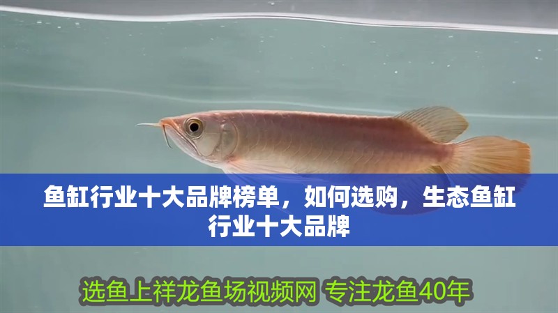 魚缸行業十大品牌榜單，如何選購，生態魚缸行業十大品牌