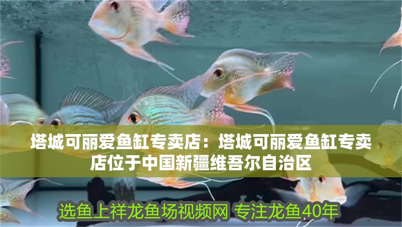 塔城可麗愛魚缸專賣店：塔城可麗愛魚缸專賣店位于中國新疆維吾爾自治區