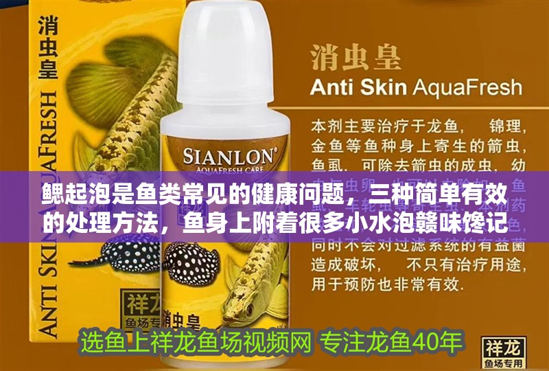 鰓起泡是魚類常見的健康問題，三種簡單有效的處理方法，魚身上附著很多小水泡贛味饞記怎么辦