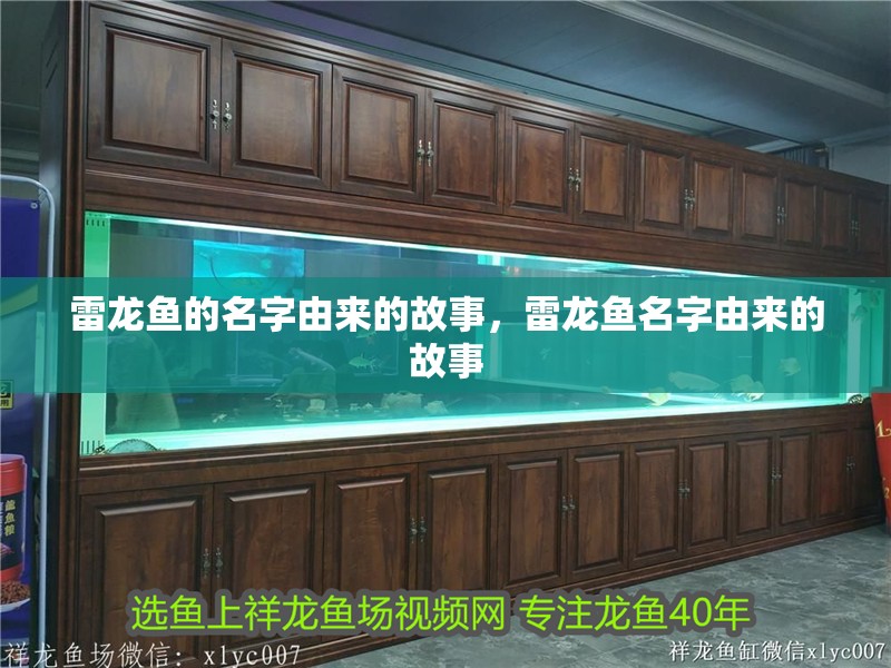 雷龍魚的名字由來的故事，雷龍魚名字由來的故事