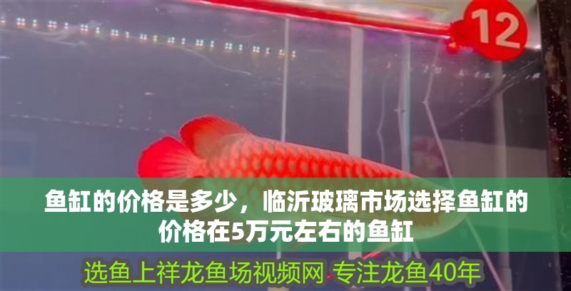 魚缸的價格是多少，臨沂玻璃市場選擇魚缸的價格在5萬元左右的魚缸