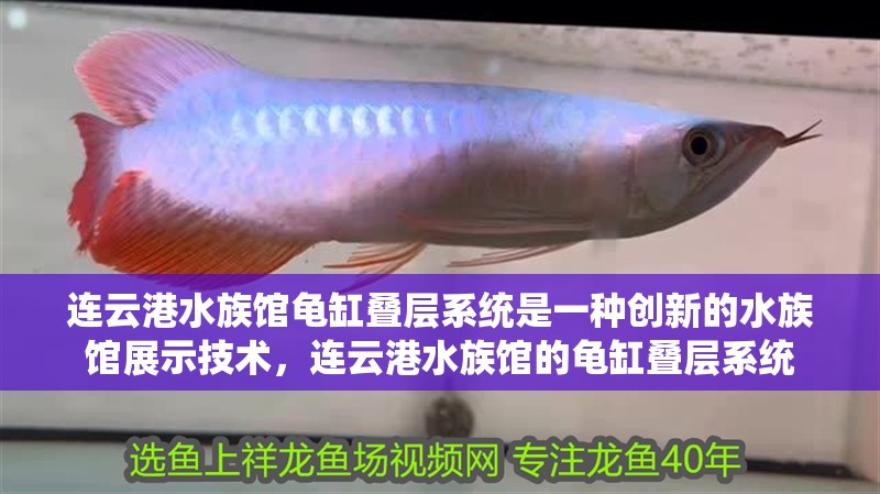 連云港水族館龜缸疊層系統(tǒng)是一種創(chuàng)新的水族館展示技術(shù)，連云港水族館的龜缸疊層系統(tǒng)