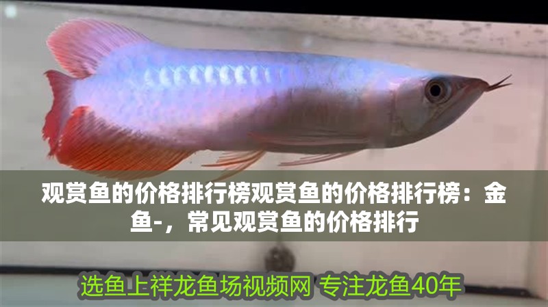 觀賞魚的價格排行榜觀賞魚的價格排行榜：金魚-，常見觀賞魚的價格排行