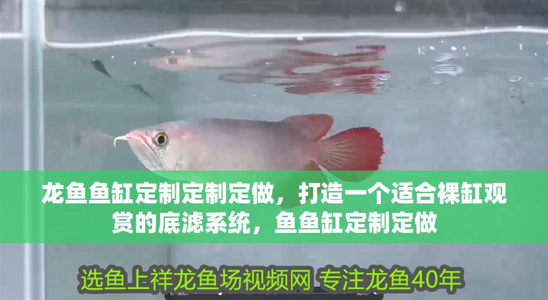 龍魚魚缸定制定制定做，打造一個適合裸缸觀賞的底濾系統，魚魚缸定制定做