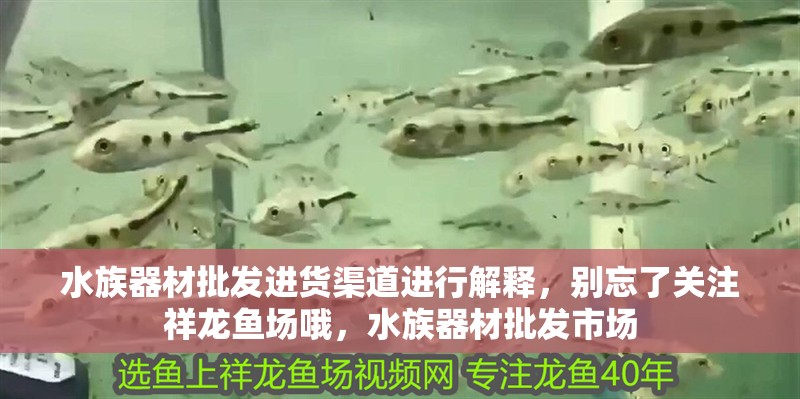 水族器材批發進貨渠道進行解釋，別忘了關注祥龍魚場哦，水族器材批發市場