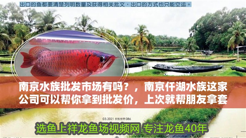 南京水族批發市場有嗎？，南京仟湖水族這家公司可以幫你拿到批發價，上次就幫朋友拿套缸