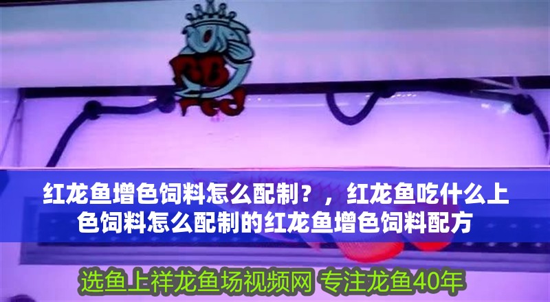 紅龍魚增色飼料怎么配制？，紅龍魚吃什么上色飼料怎么配制的紅龍魚增色飼料配方