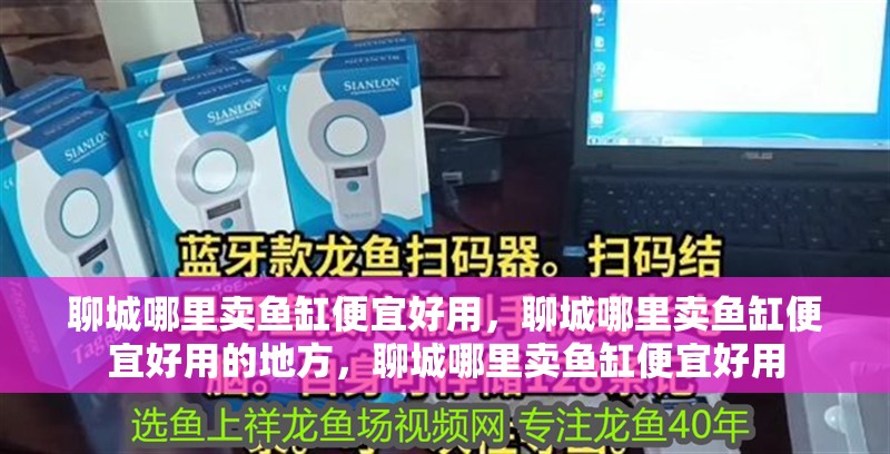 聊城哪里賣魚缸便宜好用，聊城哪里賣魚缸便宜好用的地方，聊城哪里賣魚缸便宜好用 聊城哪里賣魚缸便宜好用，聊城哪里賣魚缸便宜好用的地方，聊城哪里賣魚缸便宜好用 觀賞魚百科 第2張