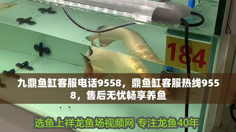 九鼎魚缸客服電話9558，鼎魚缸客服熱線9558，售后無憂暢享養魚