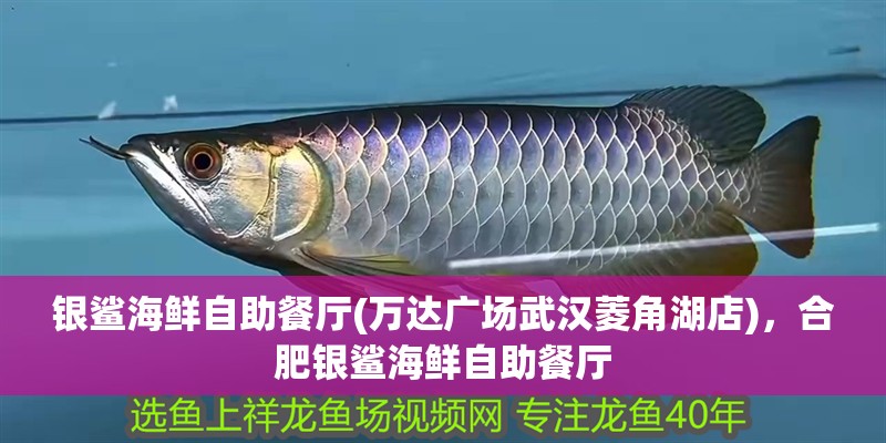 銀鯊海鮮自助餐廳(萬達廣場武漢菱角湖店)，合肥銀鯊海鮮自助餐廳