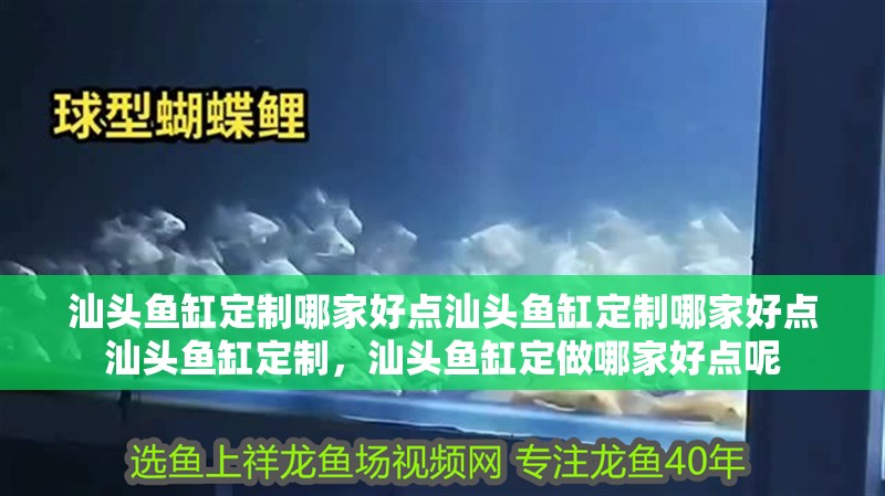 汕頭魚缸定制哪家好點汕頭魚缸定制哪家好點汕頭魚缸定制，汕頭魚缸定做哪家好點呢