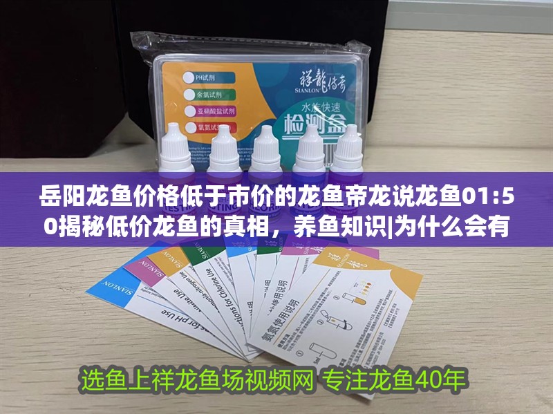 岳陽龍魚價格低于市價的龍魚帝龍說龍魚01:50揭秘低價龍魚的真相，養魚知識|為什么會有低于市價的龍魚帝龍說龍魚