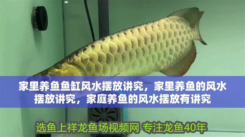 家里養魚魚缸風水擺放講究，家里養魚的風水擺放講究，家庭養魚的風水擺放有講究