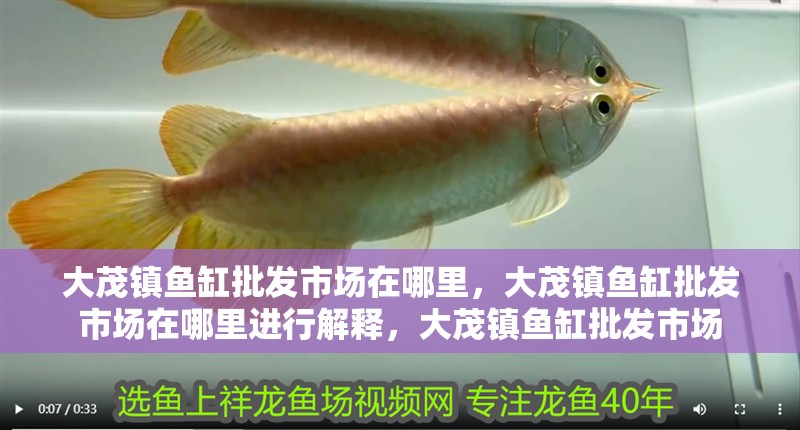大茂鎮魚缸批發市場在哪里，大茂鎮魚缸批發市場在哪里進行解釋，大茂鎮魚缸批發市場