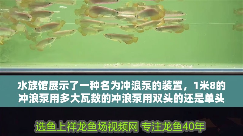 水族館展示了一種名為沖浪泵的裝置，1米8的沖浪泵用多大瓦數的沖浪泵用雙頭的還是單頭的