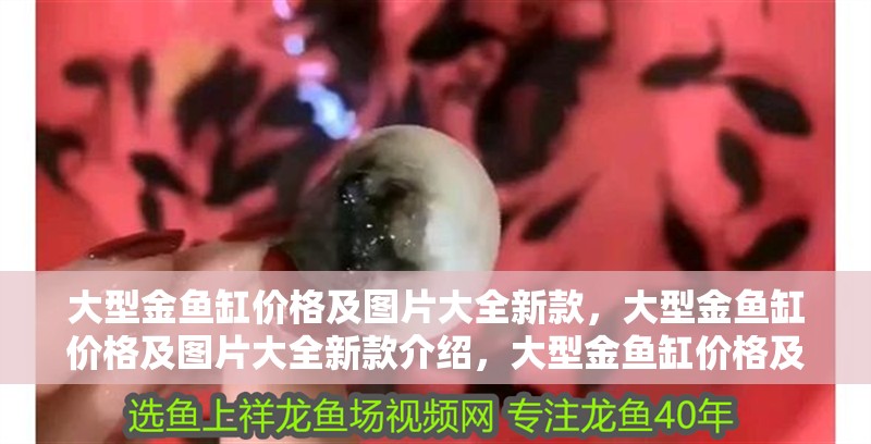 大型金魚缸價格及圖片大全新款，大型金魚缸價格及圖片大全新款介紹，大型金魚缸價格及圖片大全新款