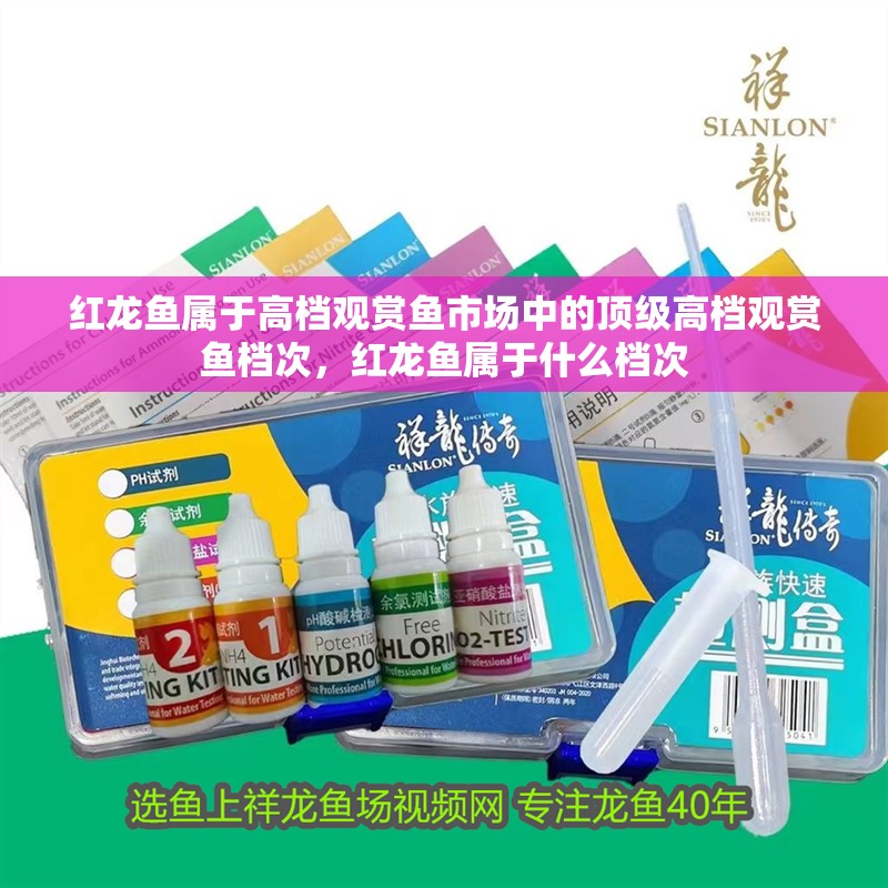 紅龍魚屬于高檔觀賞魚市場中的頂級高檔觀賞魚檔次，紅龍魚屬于什么檔次