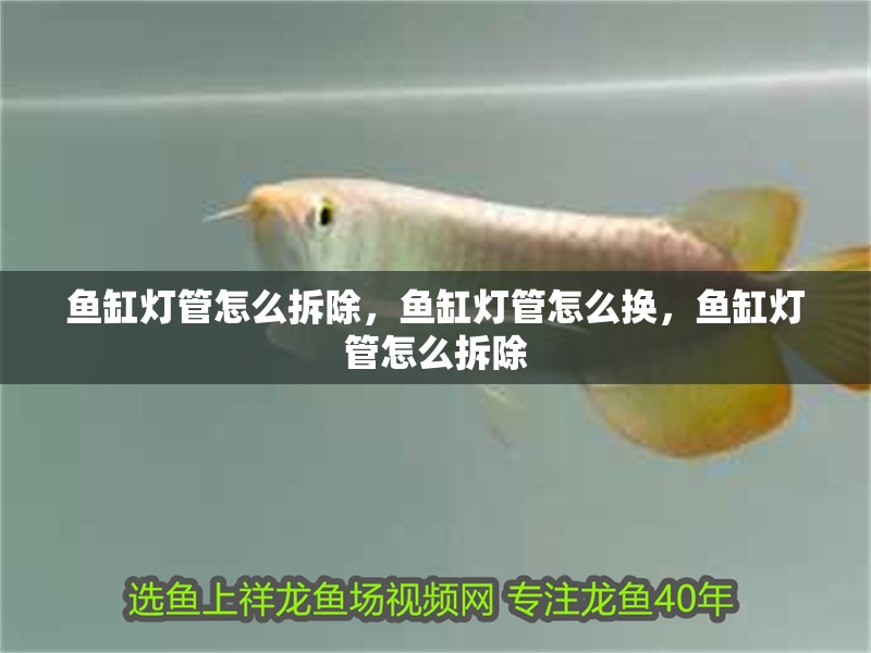 魚缸燈管怎么拆除，魚缸燈管怎么換，魚缸燈管怎么拆除