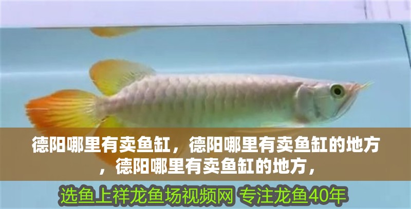 德陽哪里有賣魚缸,德陽哪里有賣魚缸的地方,德陽哪里有賣魚缸的地方, 觀賞魚百科 第2張 德陽哪里有賣魚缸,德陽哪里有賣魚缸的地方,德陽哪里有賣魚缸的地方, 德陽哪里有賣魚缸,德陽哪里有賣魚缸的地方,德陽哪里有賣魚缸的地方, 觀賞魚百科 第2張