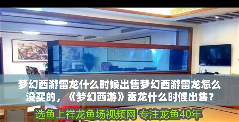 夢幻西游雷龍什么時候出售夢幻西游雷龍怎么沒買的，《夢幻西游》雷龍什么時候出售？