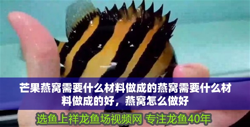 芒果燕窩需要什么材料做成的燕窩需要什么材料做成的好，燕窩怎么做好