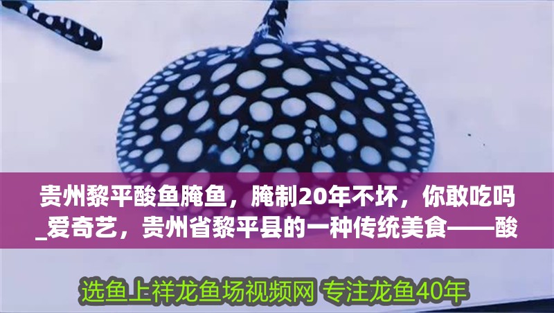 貴州黎平酸魚腌魚，腌制20年不壞，你敢吃嗎_愛奇藝，貴州省黎平縣的一種傳統美食——酸魚腌魚