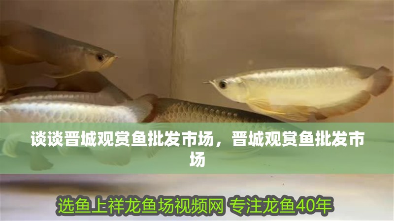 談?wù)剷x城觀賞魚批發(fā)市場(chǎng)，晉城觀賞魚批發(fā)市場(chǎng)