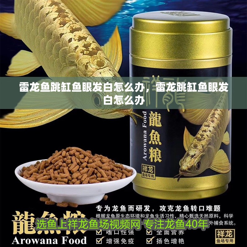 雷龍魚跳缸魚眼發白怎么辦，雷龍跳缸魚眼發白怎么辦