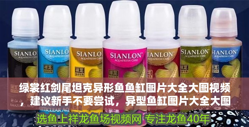 綠裳紅劍尾坦克異形魚魚缸圖片大全大圖視頻，建議新手不要嘗試，異型魚缸圖片大全大圖視頻大全大圖視頻大全大圖視頻