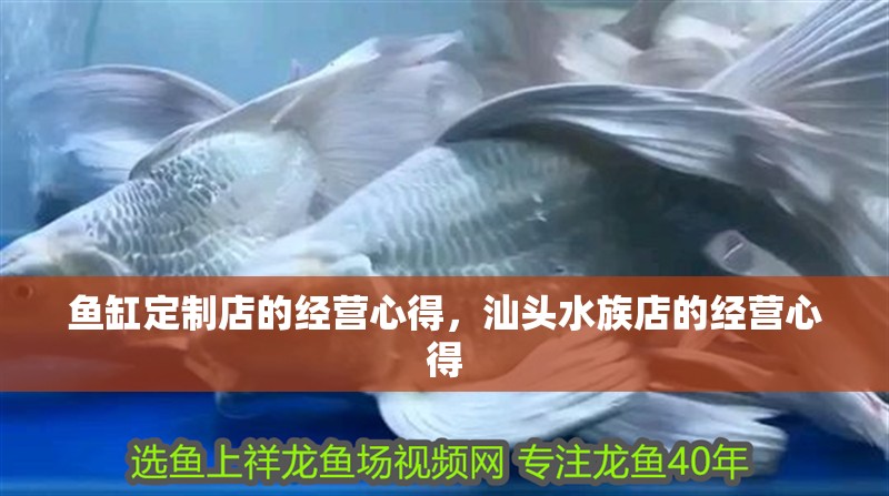 魚缸定制店的經營心得，汕頭水族店的經營心得