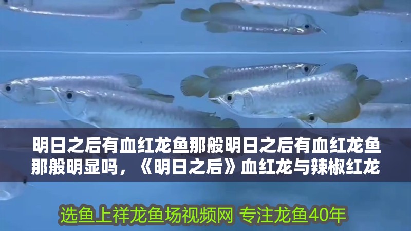 明日之后有血紅龍魚那般明日之后有血紅龍魚那般明顯嗎，《明日之后》血紅龍與辣椒紅龍的區別