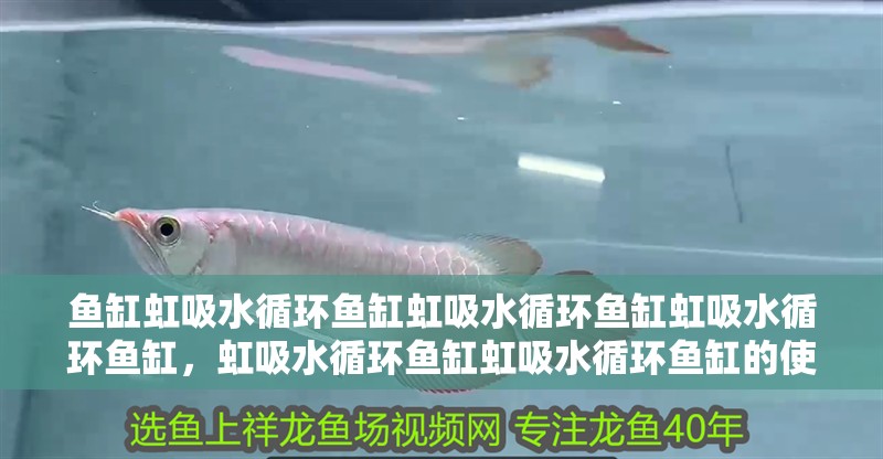魚缸虹吸水循環(huán)魚缸虹吸水循環(huán)魚缸虹吸水循環(huán)魚缸，虹吸水循環(huán)魚缸虹吸水循環(huán)魚缸的使用方法--流氓講解