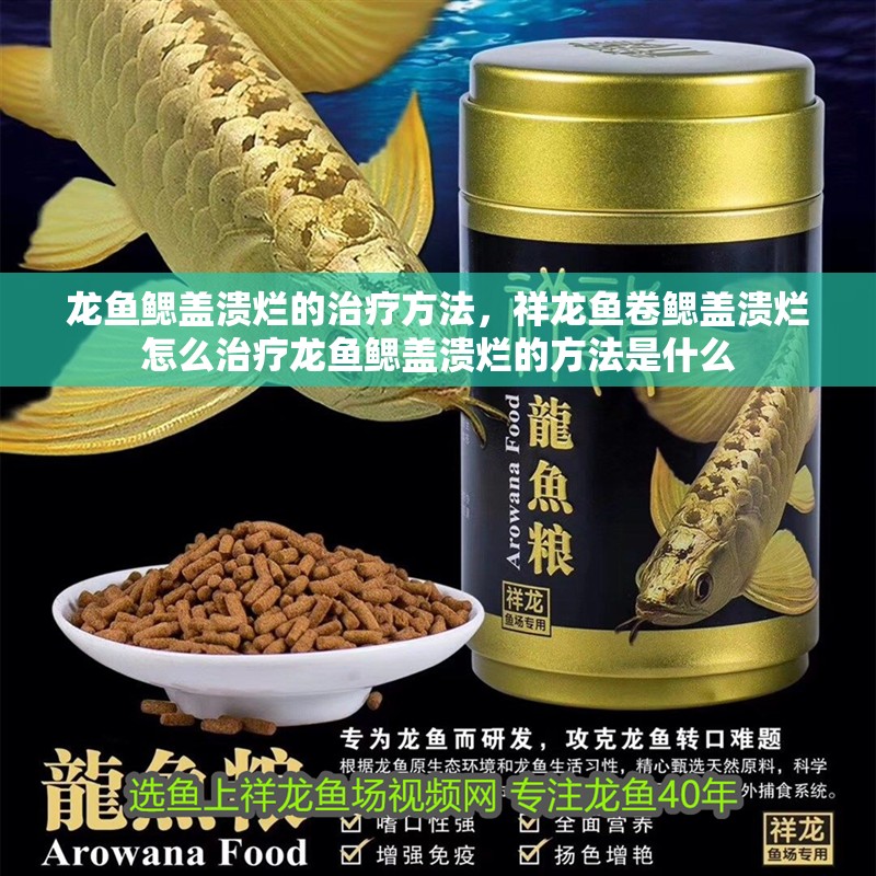 龍魚(yú)鰓蓋潰爛的治療方法，祥龍魚(yú)卷鰓蓋潰爛怎么治療龍魚(yú)鰓蓋潰爛的方法是什么