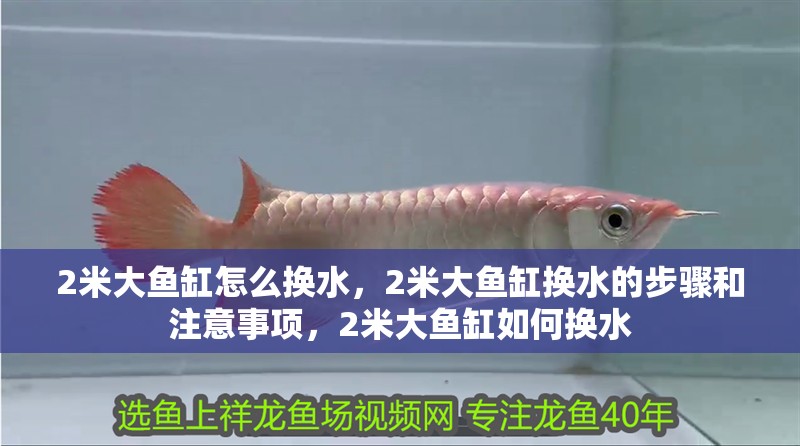 2米大魚缸怎么換水，2米大魚缸換水的步驟和注意事項，2米大魚缸如何換水