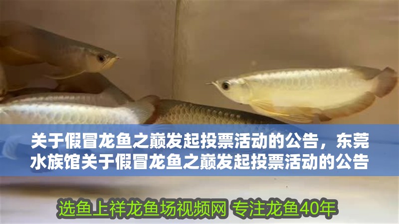 關于假冒龍魚之巔發起投票活動的公告，東莞水族館關于假冒龍魚之巔發起投票活動的公告，謹慎