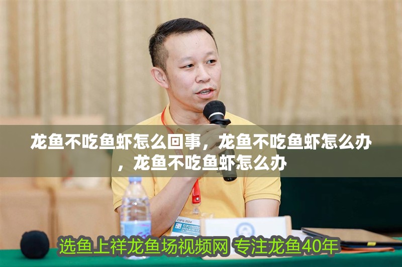 龍魚不吃魚蝦怎么回事，龍魚不吃魚蝦怎么辦，龍魚不吃魚蝦怎么辦