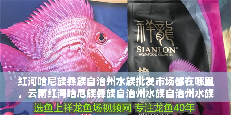 紅河哈尼族彝族自治州水族批發(fā)市場都在哪里，云南紅河哈尼族彝族自治州水族自治州水族批發(fā)市場在哪里