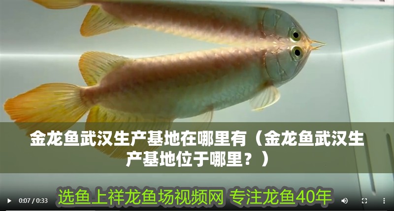 金龍魚武漢生產基地在哪里有（金龍魚武漢生產基地位于哪里？）