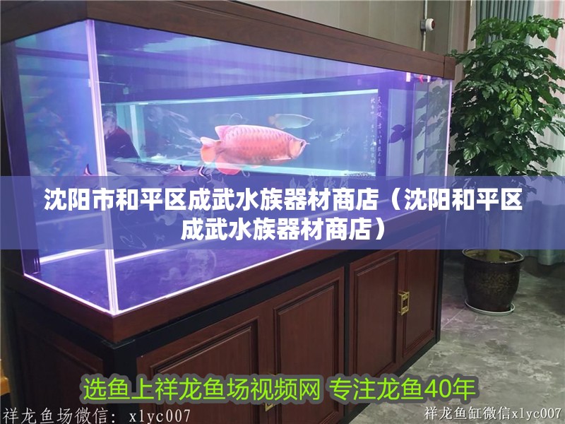 沈陽市和平區成武水族器材商店(沈陽和平區成武水族器材商店) 觀賞魚百科 第2張 沈陽市和平區成武水族器材商店(沈陽和平區成武水族器材商店) 沈陽市和平區成武水族器材商店(沈陽和平區成武水族器材商店) 觀賞魚百科 第2張