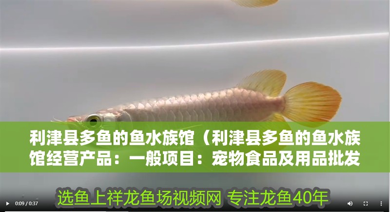 利津縣多魚的魚水族館（利津縣多魚的魚水族館經營產品：一般項目：寵物食品及用品批發）