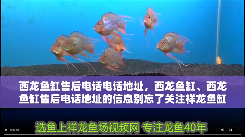 西龍魚缸售后電話電話地址，西龍魚缸、西龍魚缸售后電話地址的信息別忘了關(guān)注祥龍魚缸