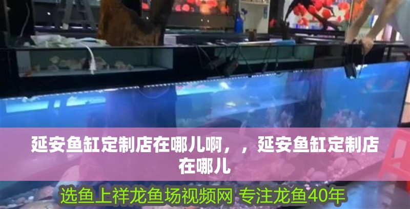 延安魚缸定制店在哪兒啊，，延安魚缸定制店在哪兒
